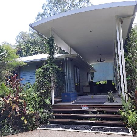 Daintree Rainforest Accommodation Cow Bay Экстерьер фото