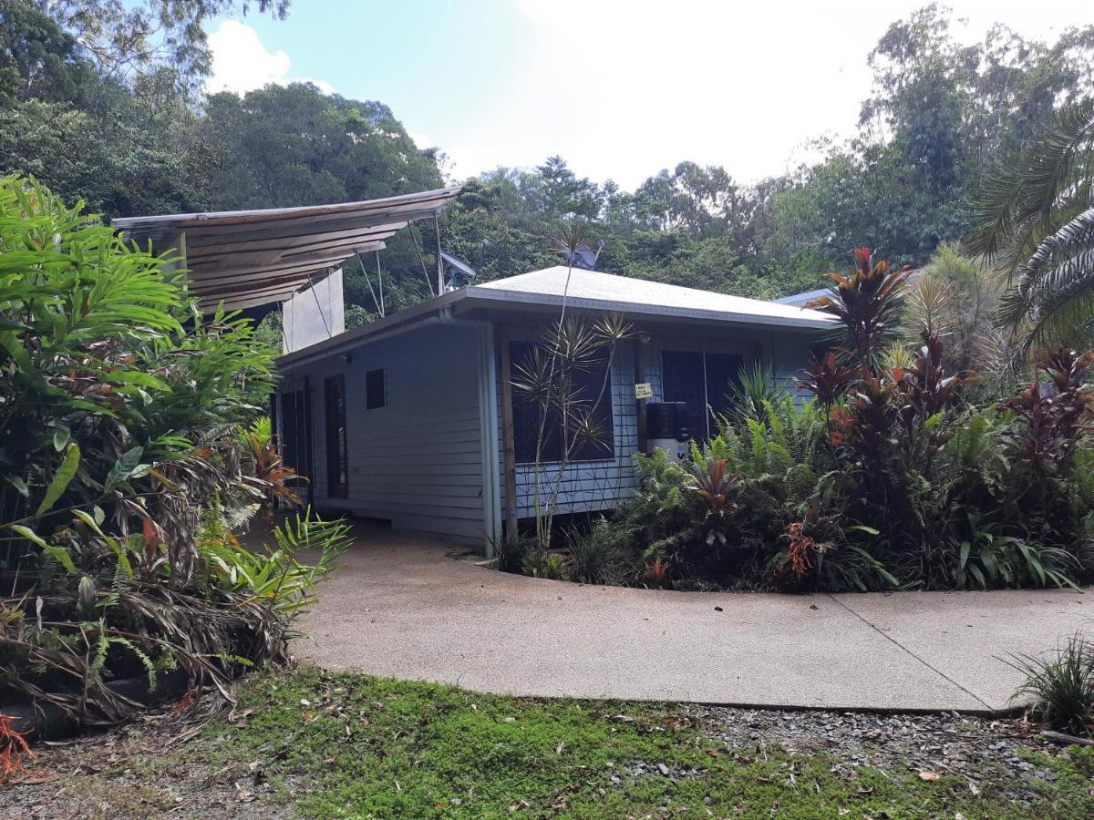 Daintree Rainforest Accommodation Cow Bay Экстерьер фото
